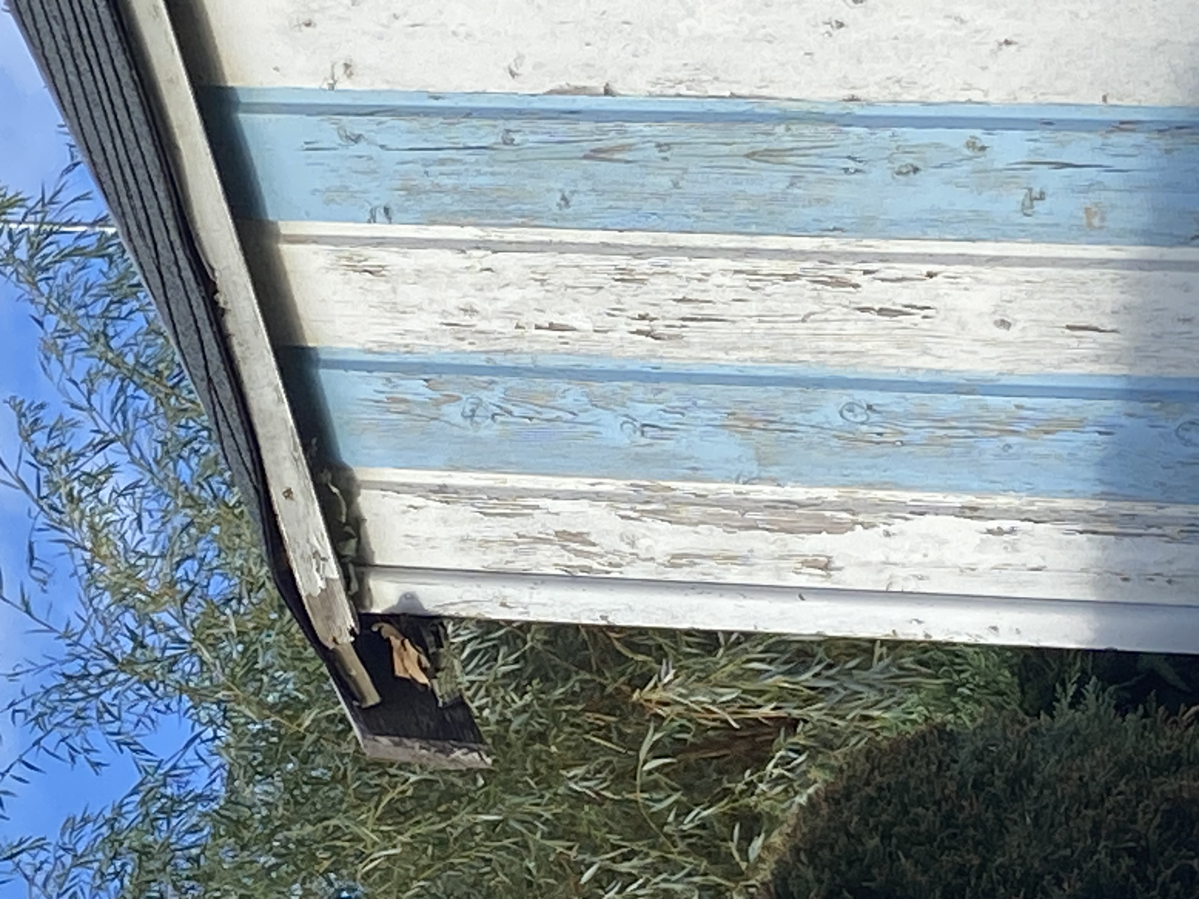 Photo jointe à la demande