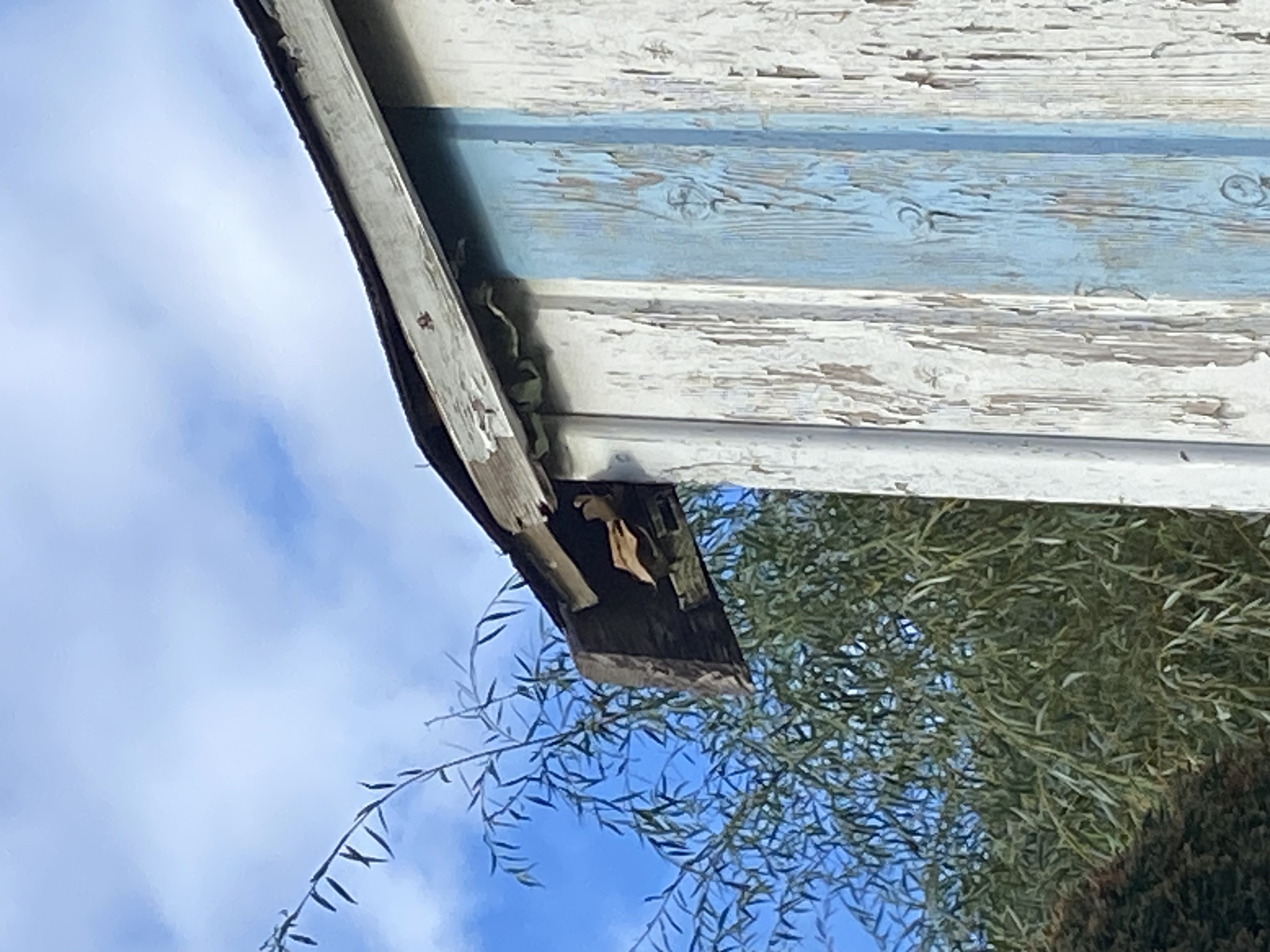 Photo de la demande