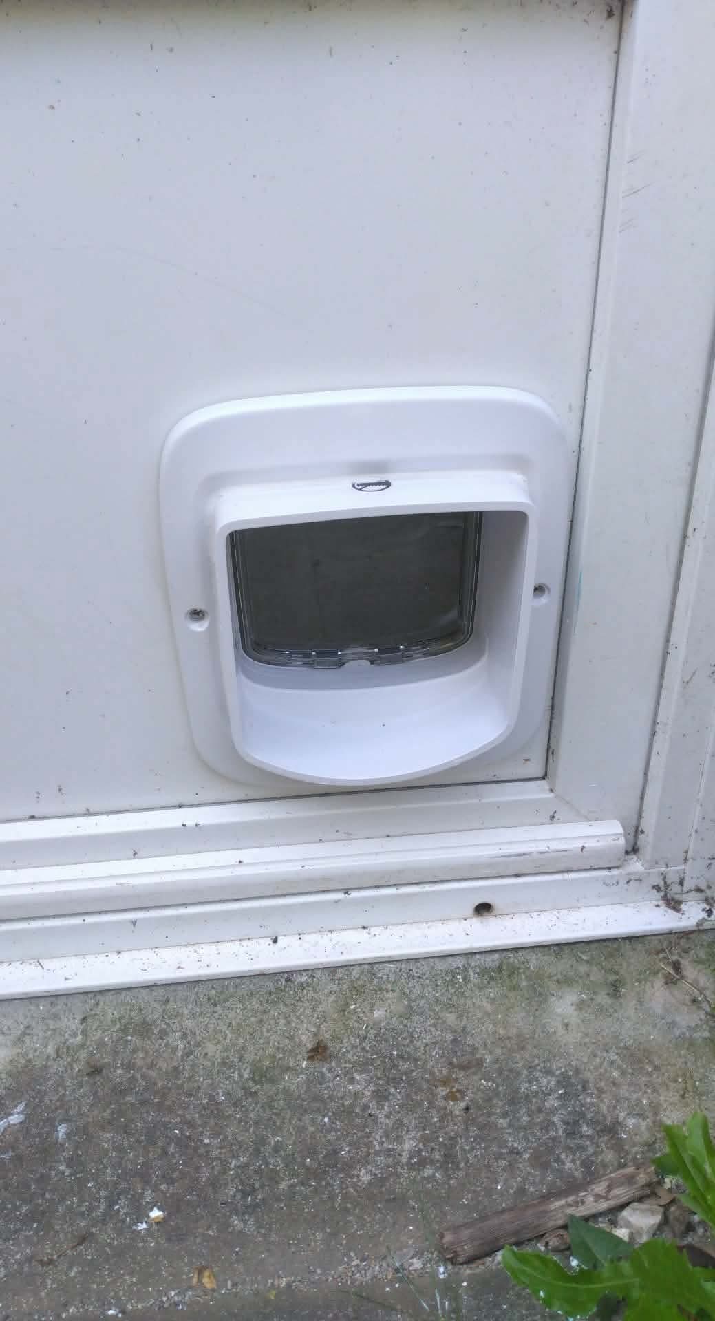 1000009491.jpg